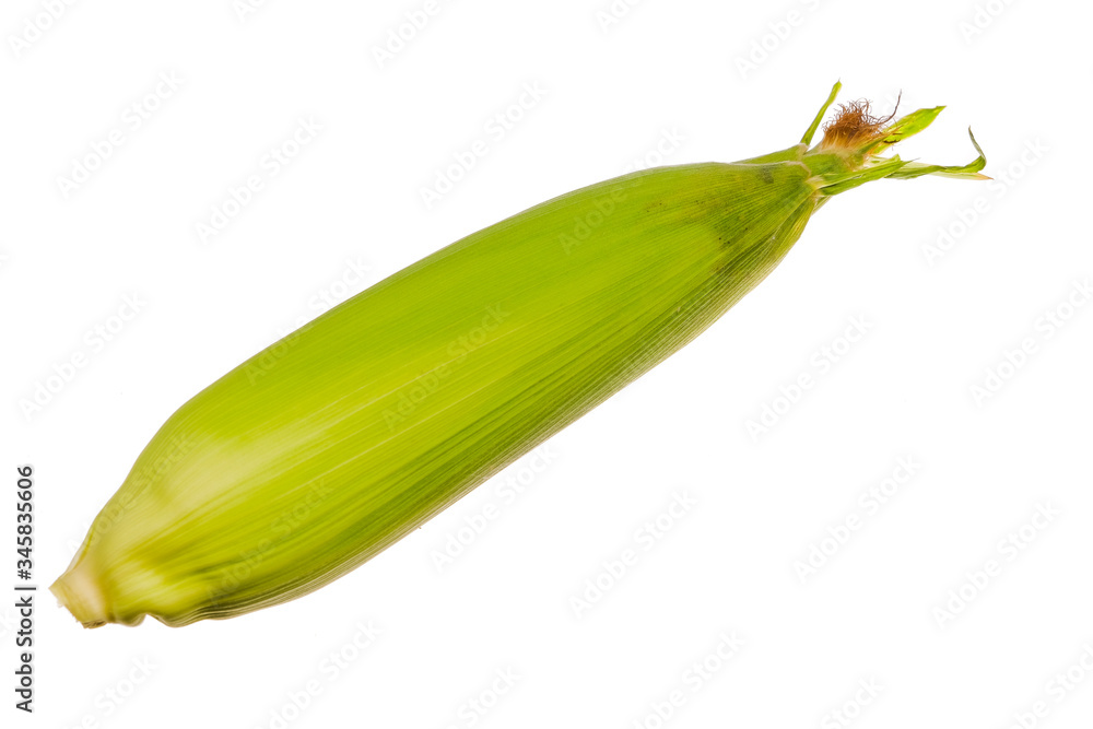 Fresh corn isolated on white background. Fresh corn isolated on white background.
