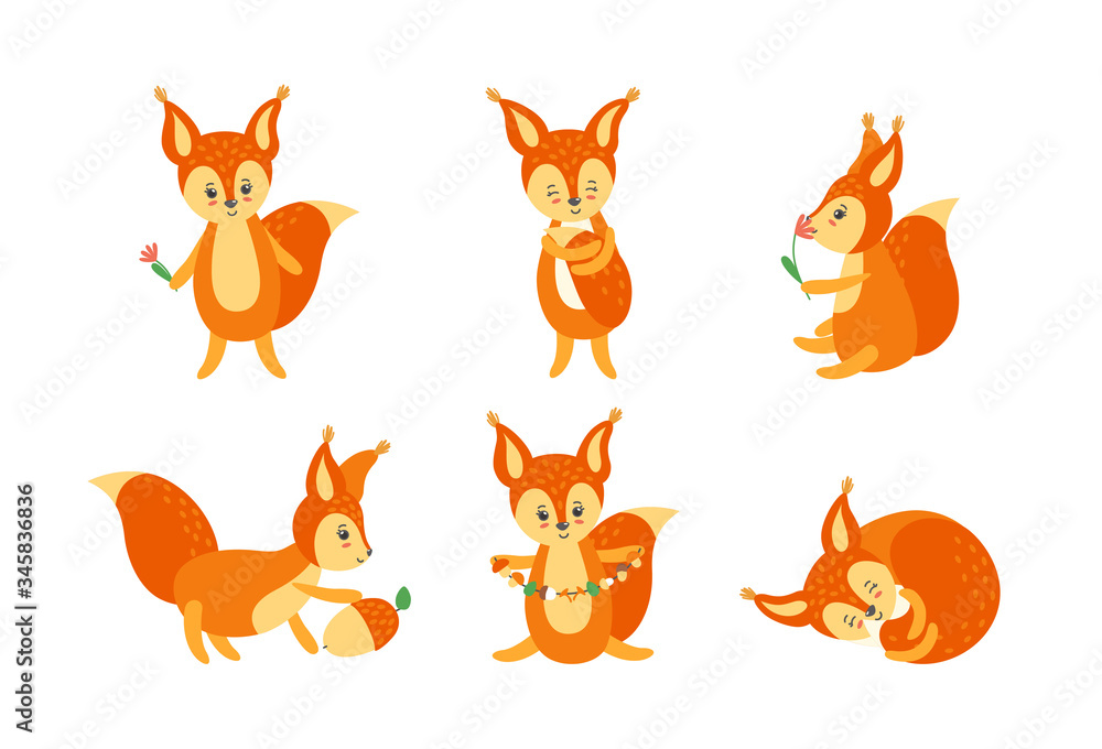 Colorful set of cute squirrels. Standing, sleeping and sitting character picture en face and in profile. Vector illustration in flat style Colorful set of cute squirrels. Standing, sleeping and sitting character picture en face and in profile. Vector illustration in flat style
