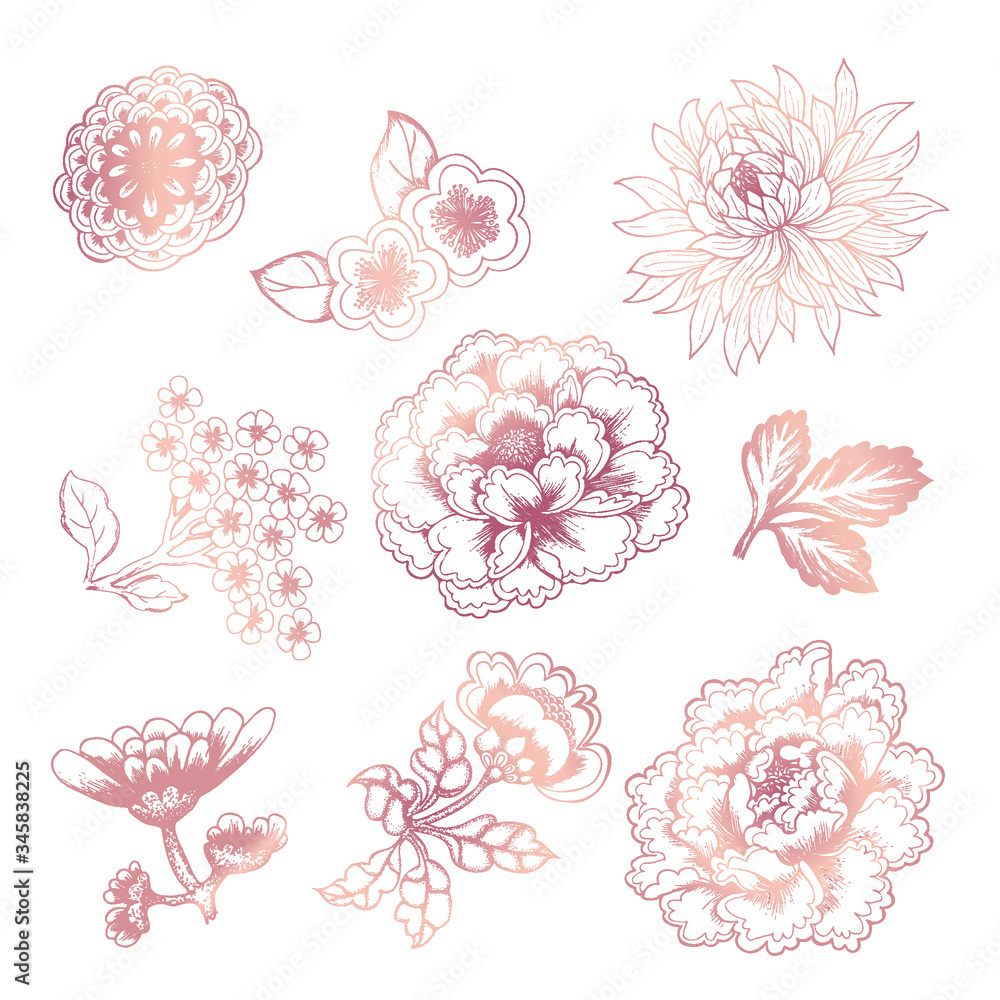 Fototapeta premium Peony, Chrysanthemum, sakura, drawn by a contour with a watercolor substrate. Asian flowers in tattoo style. Painted watercolor illustration with traditional symbols of Asia