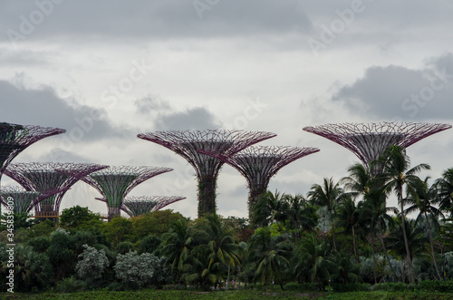 supertrees grove on a cloudy day in Singapore botanic gardens © Konstantin