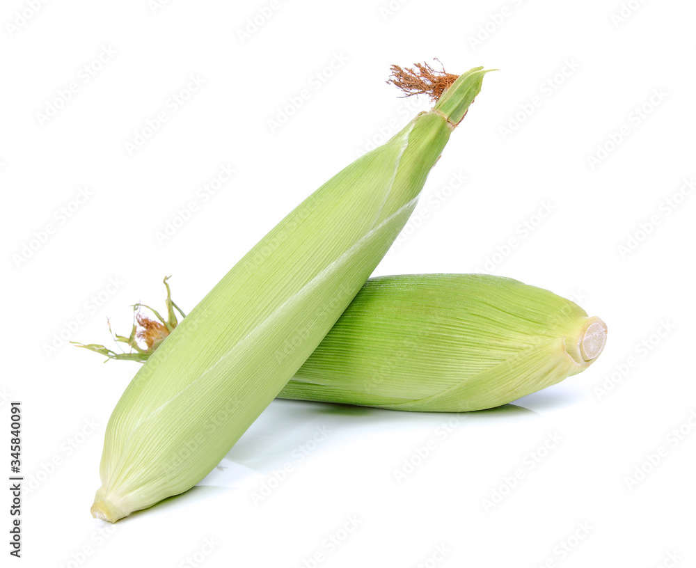 Sweet corn isolated on white background Sweet corn isolated on white background