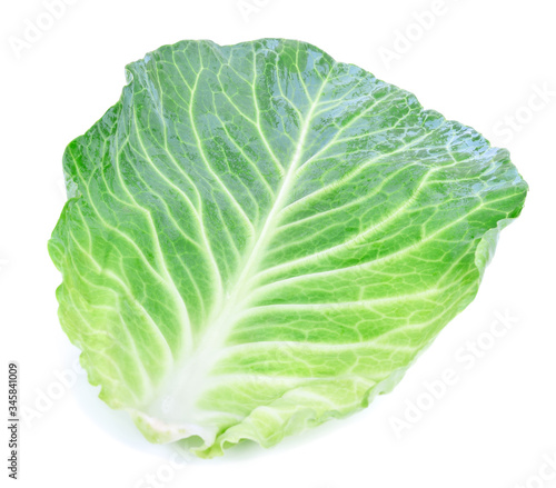 cabbage leaf against white background