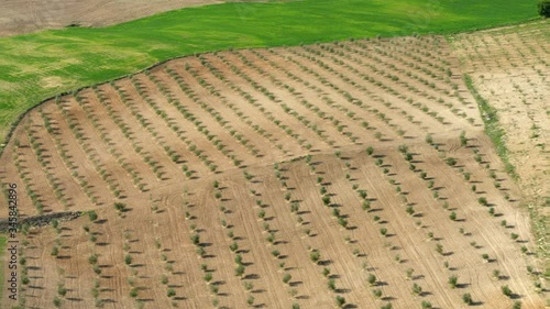 WS AERIAL Mixed-use agricultural landscape with olive orchards and fields
