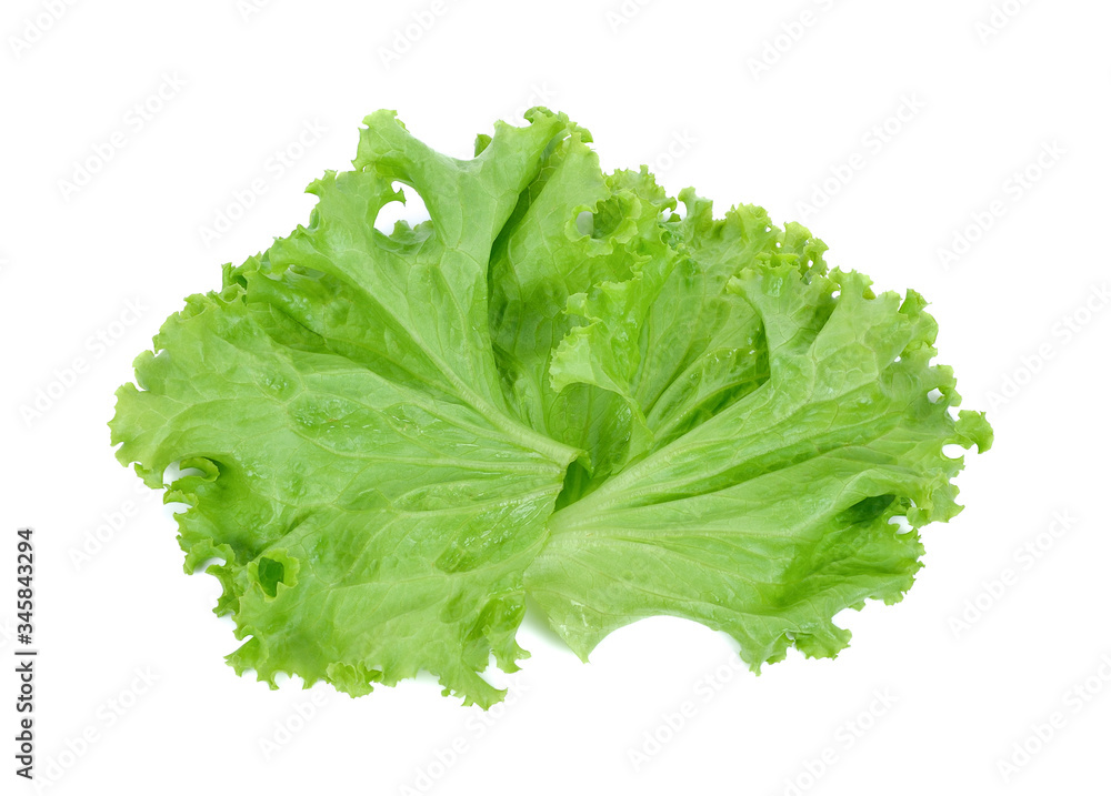 Salad leaf. Lettuce isolated on white background Salad leaf. Lettuce isolated on white background
