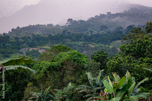 Rain and mist covers the tops of a tropical jungle mountain in Ghana, West Africa.