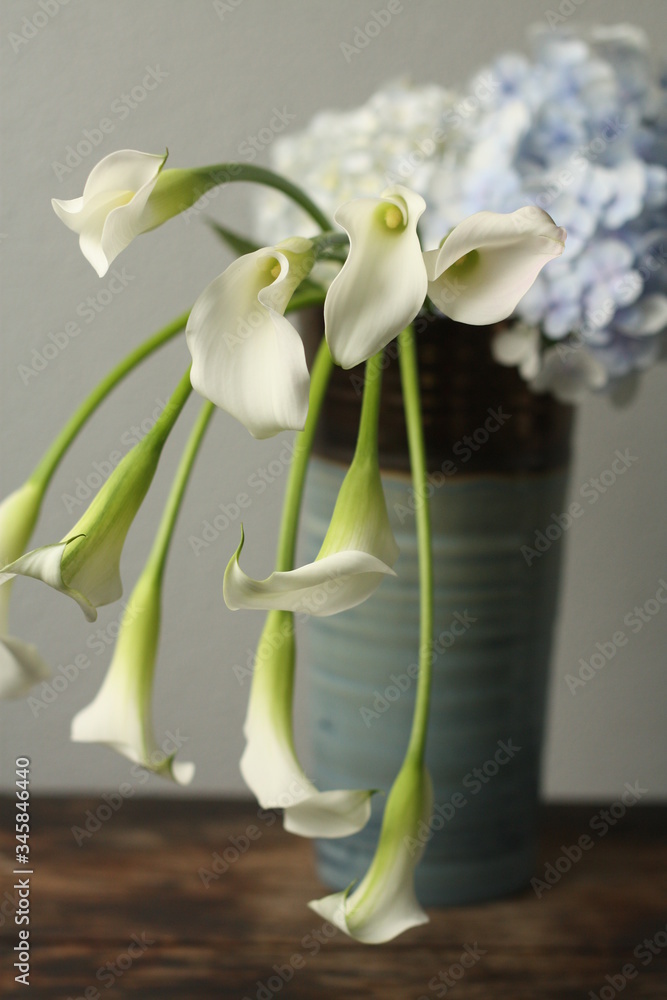 Fototapeta premium クリスタルブラッシュ