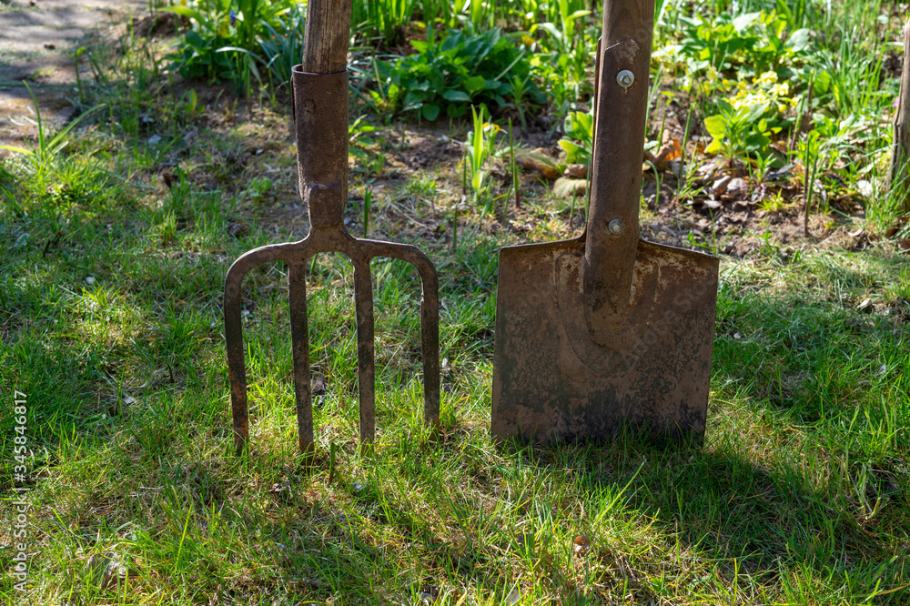 Garden forks and spade or shovel on a green lawn Garden forks and spade or shovel on a green lawn