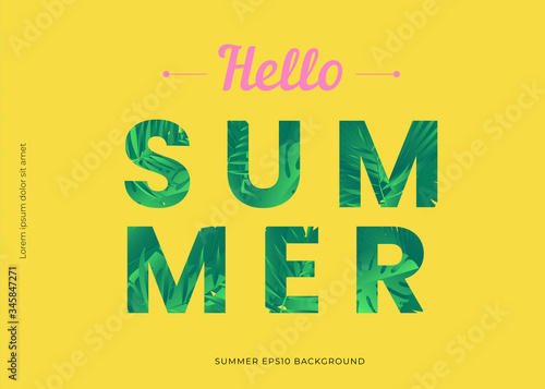summer vector background