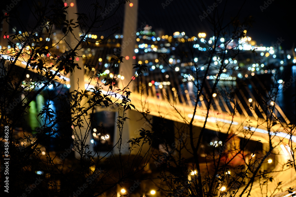 Panorama of night Vladivostok. The bridge through a bay Golden Horn. Urban traffic with cityscape