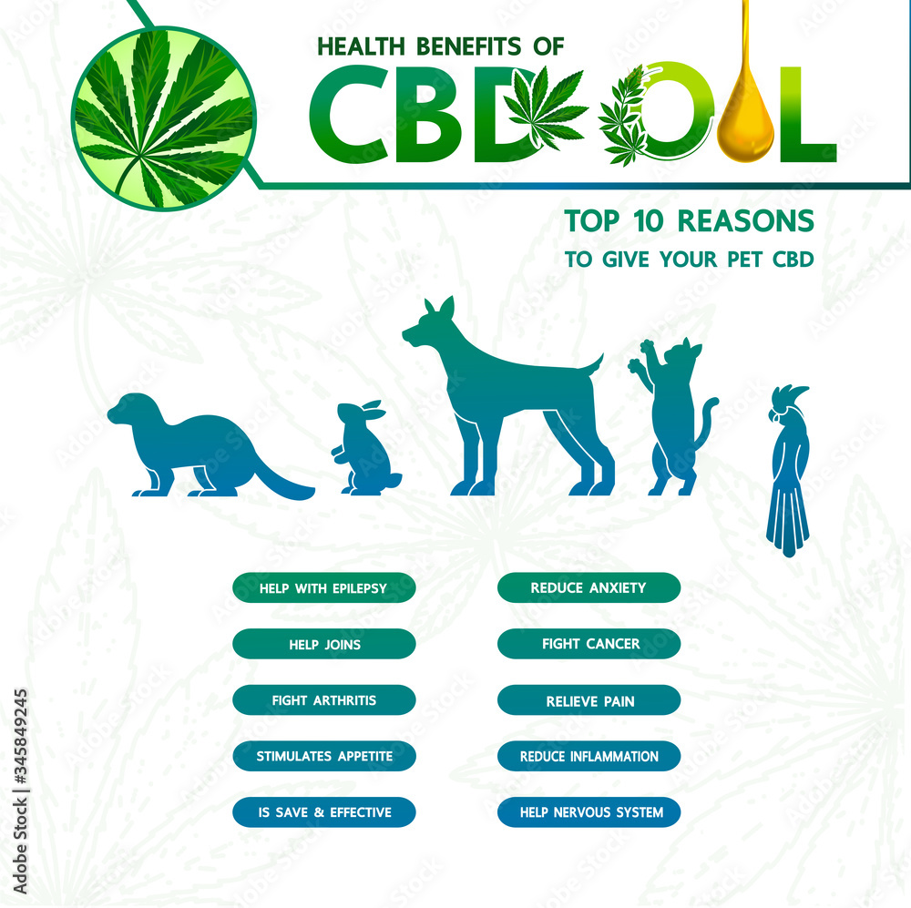 Cannabis benefits for pet health vector illustration.