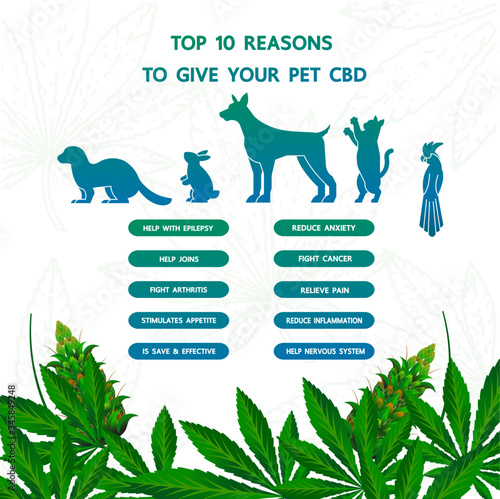 Cannabis benefits for pet health vector illustration.