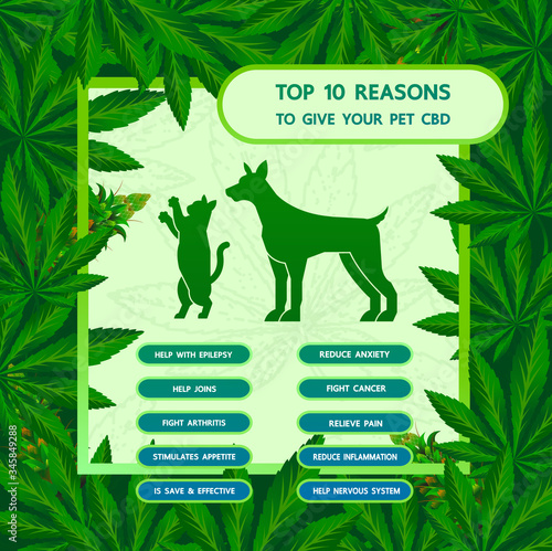 Cannabis benefits for pet health vector illustration.