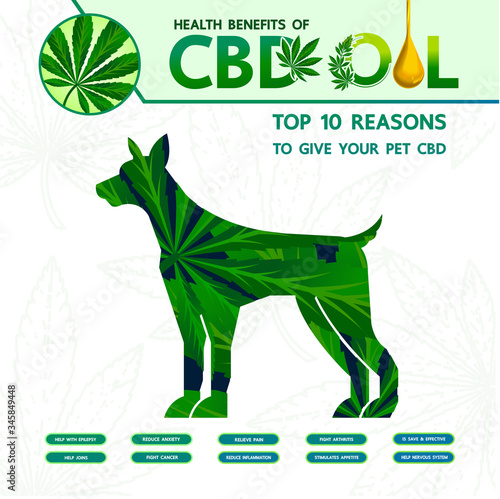 Cannabis benefits for pet health vector illustration.