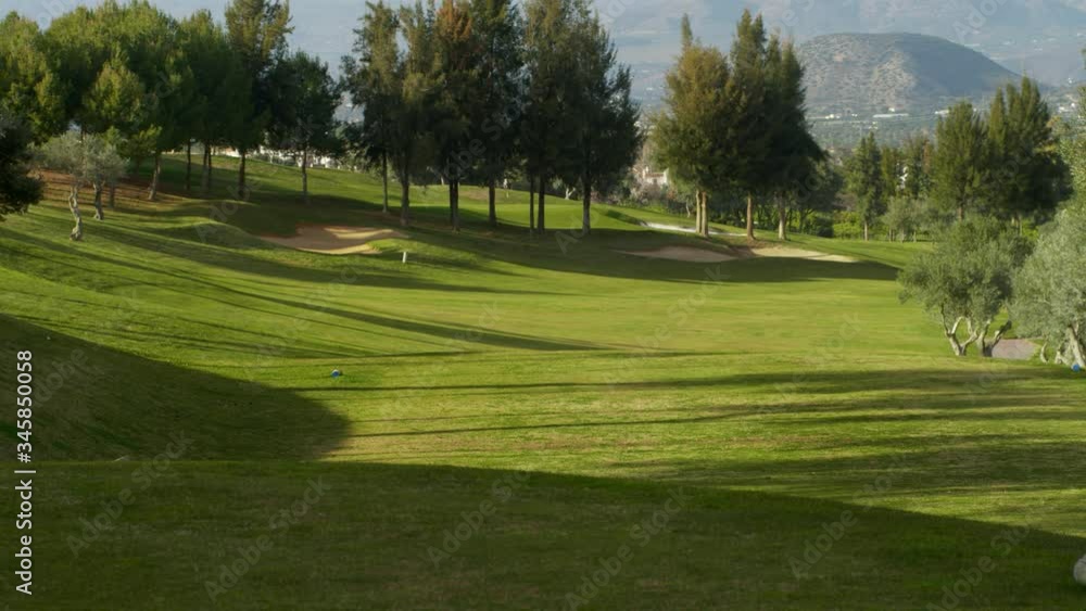 WS PAN Golf course with olive trees WS PAN Golf course with olive trees