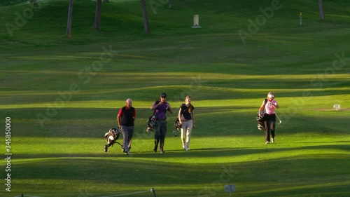 WS TS Four golfers walking along golf course fairway with golf bags