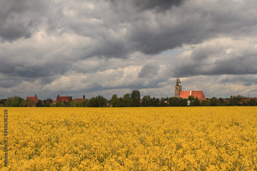 Rapsblüte im Fläming; Blick von Süden auf Jüterbog Rapsblüte im Fläming; Blick von Süden auf Jüterbog