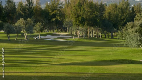 WS Golf course with trees