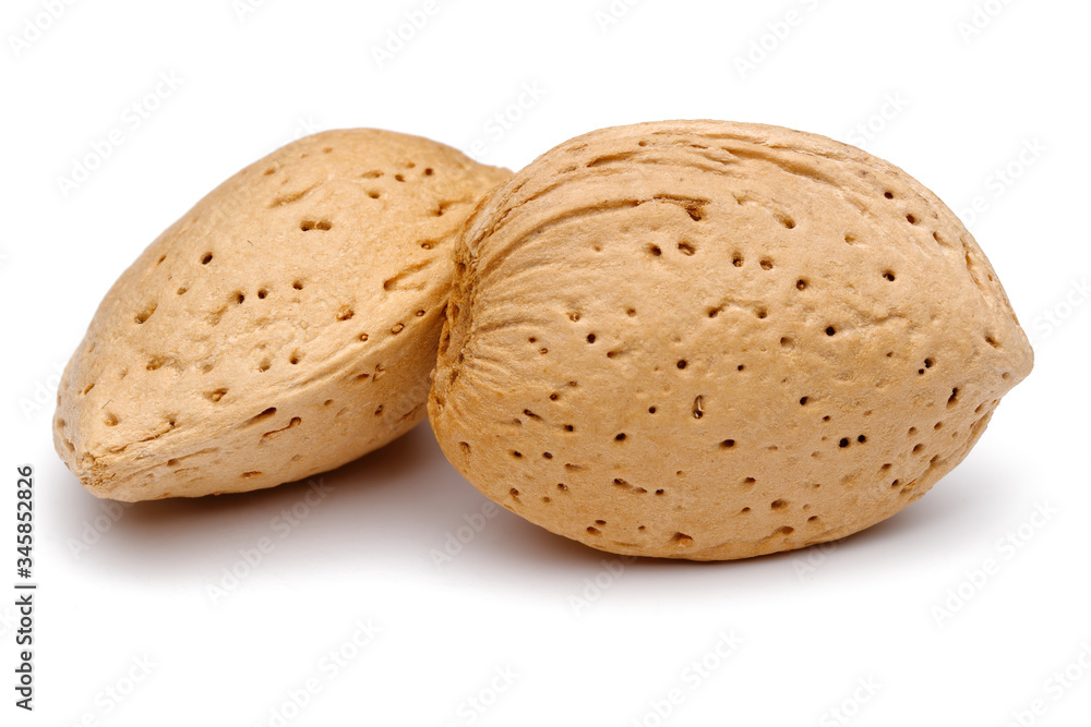Two almonds isolated on white Two almonds isolated on white