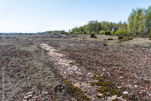 Εκτύπωση καμβά Open limestone bedrock in a barren landscape