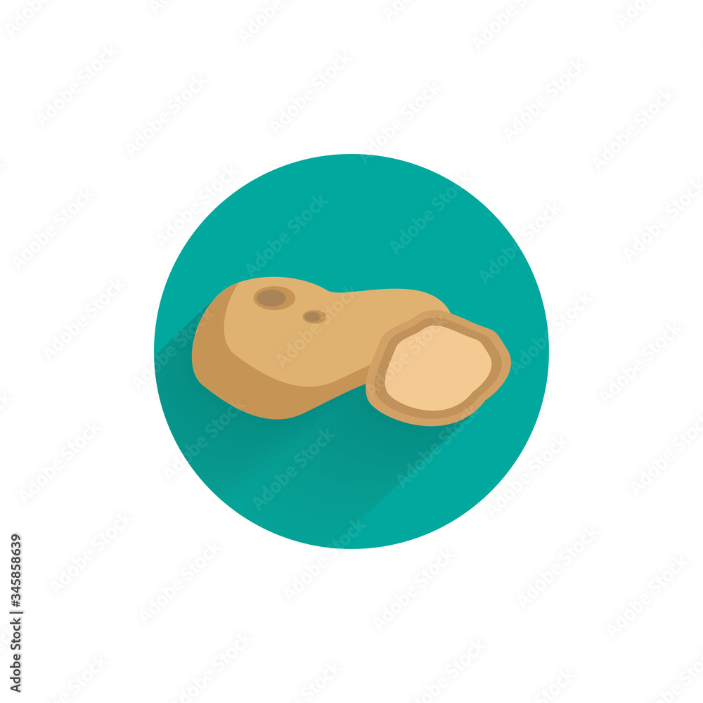 Obraz premium Potato colorful flat icon with long shadow. Potato flat icon
