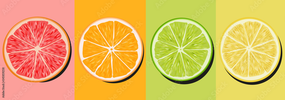 set citrus lime lime orange and grapefruit cutaway