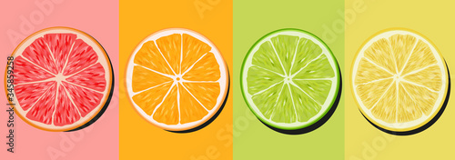 set citrus lime lime orange and grapefruit cutaway