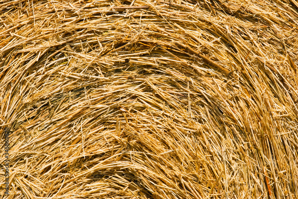 rolled up bale of straw detail rolled up bale of straw detail