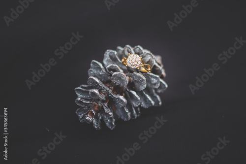 Diamond ring on cypress with dark background. Jewelry product photography © mysmara
