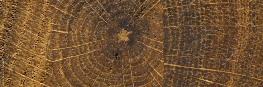 Obraz premium Abctract wooden texure closeup background. Print for laminate board concept
