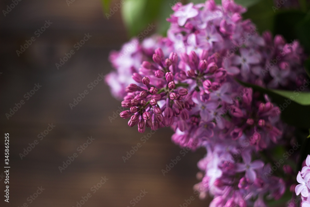 Bouquet of lilac on a background of brown wooden background. Spring beautiful lilac flowers, background. Place for text Bouquet of lilac on a background of brown wooden background. Spring beautiful lilac flowers, background. Place for text