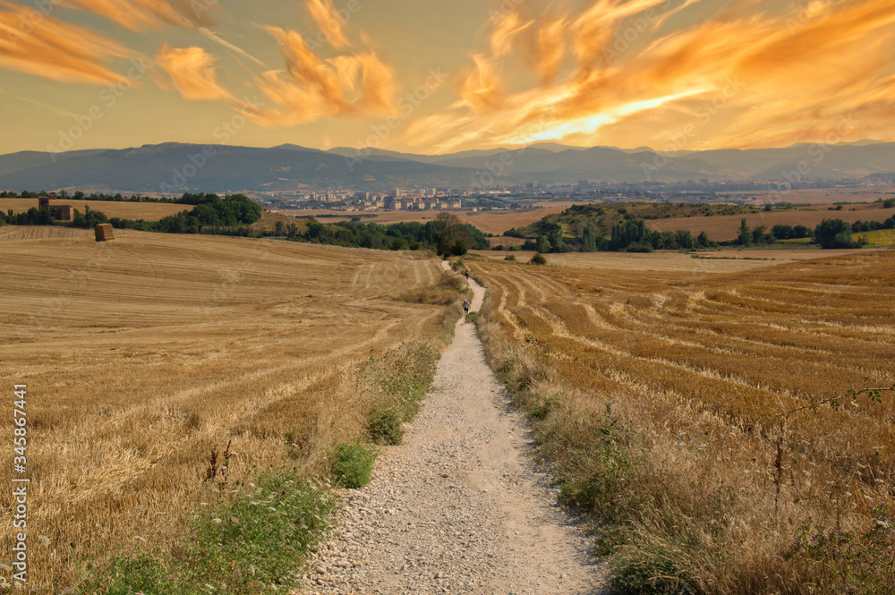 The Camino de Santiago during sunrise in Navarra