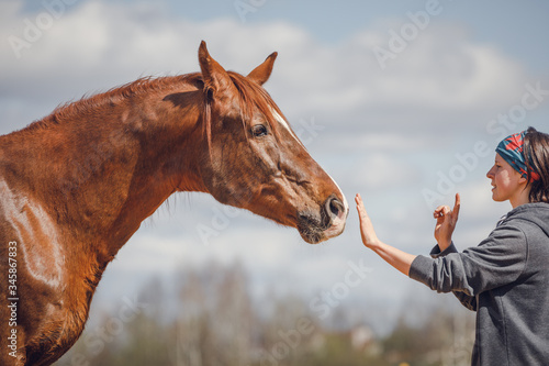 portrait of beautiful girl stopping chestnut trakehner stallion horse on sky background in spring