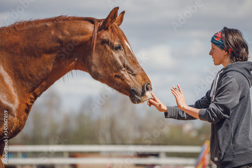 portrait of beautiful girl stopping chestnut trakehner stallion horse on sky background in spring