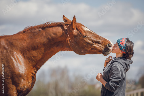 portrait of chestnut trakehner stallion kissing girl on sky background in spring