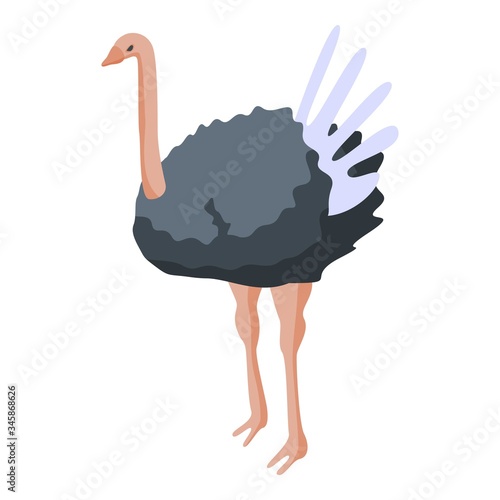 Ostrich bird icon. Isometric of ostrich bird vector icon for web design isolated on white background photo