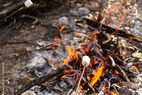 Camping bonfire, frying marshmallows at the stake