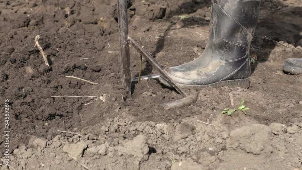 Digging land for future planting with a cultivator, pitchfork. Agriculture in rural areas. Slow motion. Digging land for future planting with a cultivator, pitchfork. Agriculture in rural areas. Slow motion.