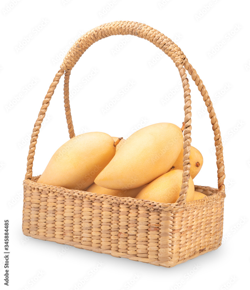 Yellow mango in the basket isolated on white background. Golden mango with leaves on white background, (With clipping path)