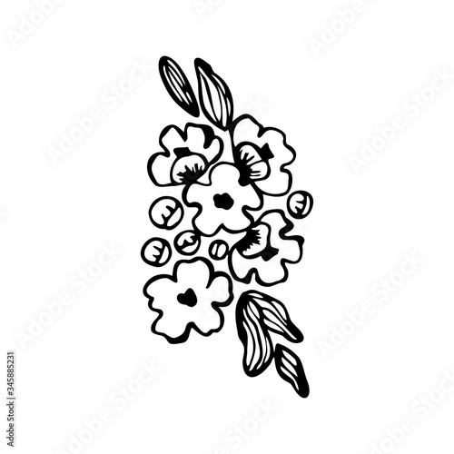 Hand drawn a branch of a flowering tree isolated on a white background. Doodle, simple outline illustration. It can be used for decoration of textile, paper and other surfaces.