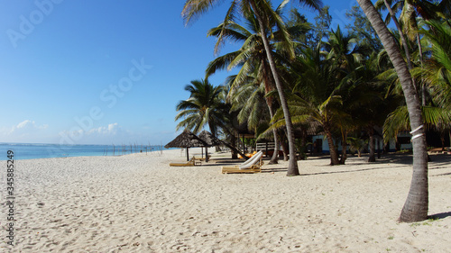 Sand paradise beach on the Indian Ocean and palm trees at sunny summer day in a local resort in Kenya  East Africa.