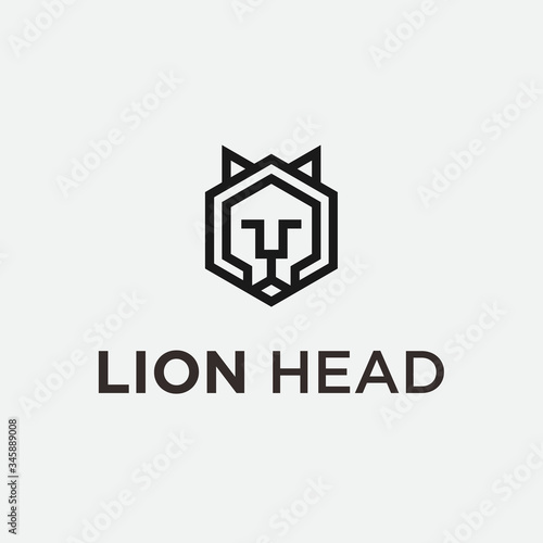 lion head logo / lion vector