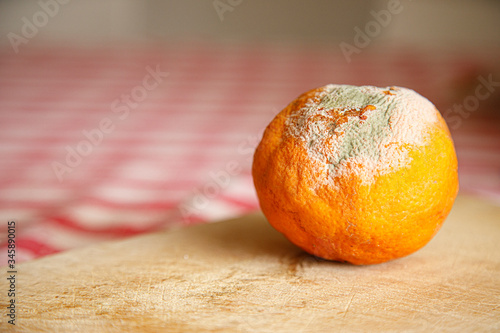 Arancio con la muffa su tavolo  photo