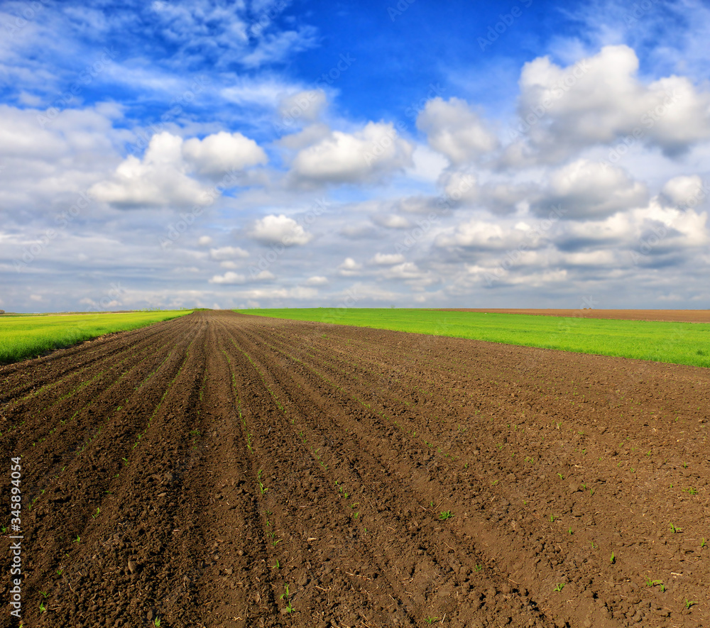 Plowed field in spring time with blue sky Plowed field in spring time with blue sky