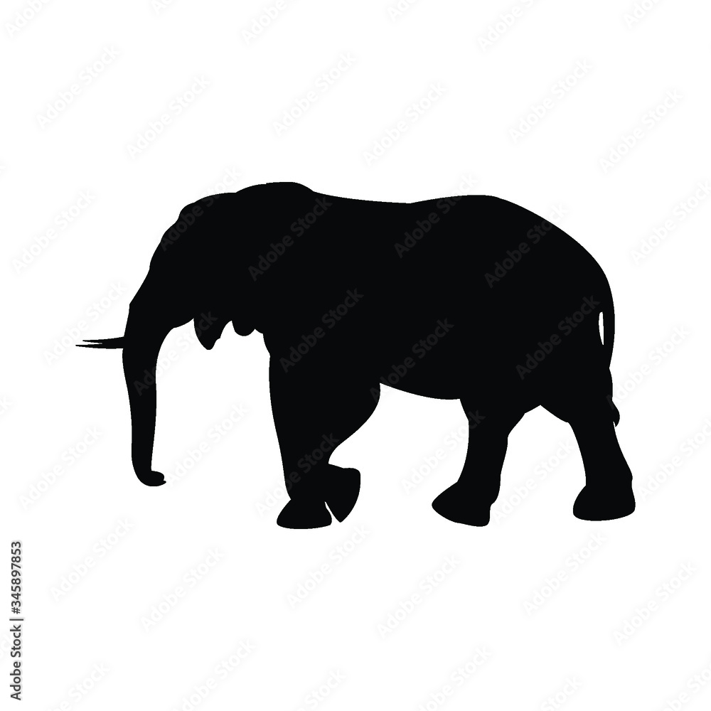 Walking big elephant strong power with outline black and silhouette Thailand 