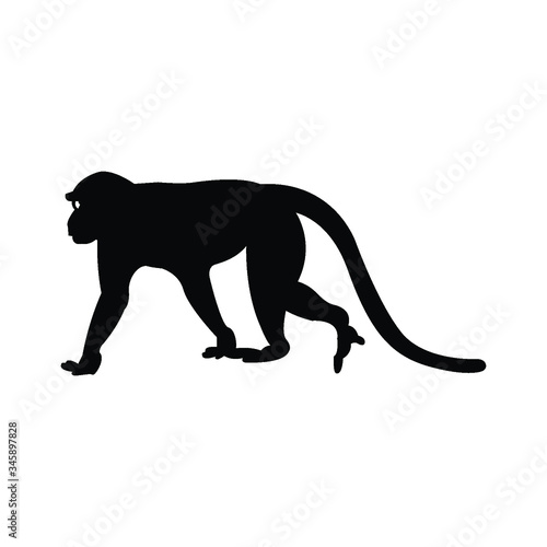 Walking apes monkey with silhouette and line art, ape, chimpanzee,
