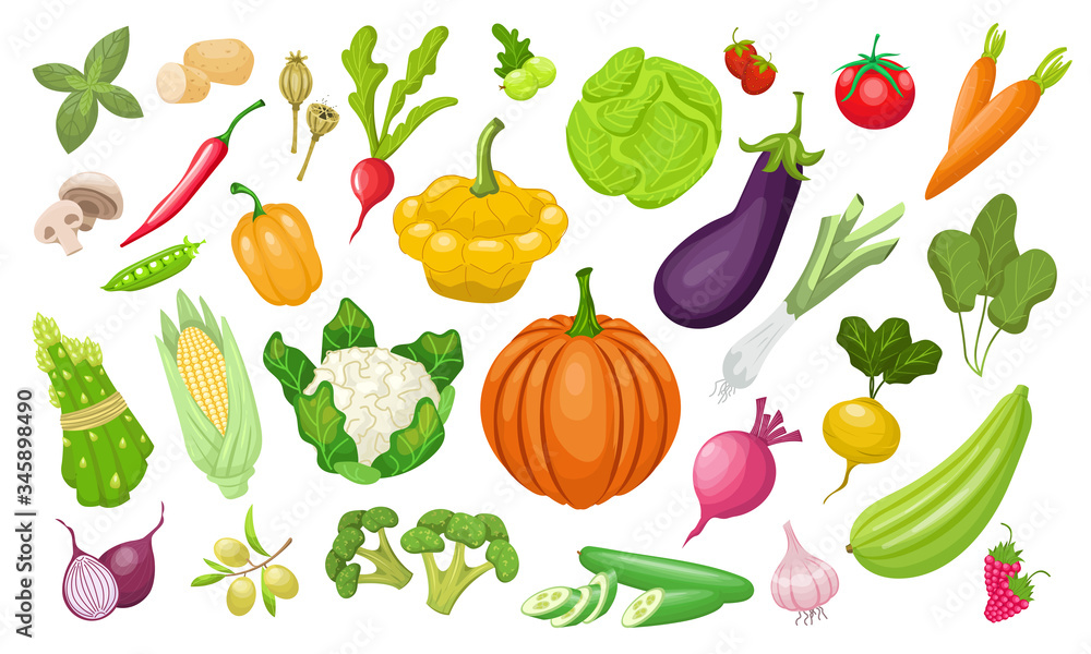 A large set of vegetables. Fresh tomatoes, peppers, pumpkin, paprika, zucchini, corn, carrots, peppers , peas, cabbage, broccoli. Vegeterian organic vector food in flat style. Farm healthy products A large set of vegetables. Fresh tomatoes, peppers, pumpkin, paprika, zucchini, corn, carrots, peppers , peas, cabbage, broccoli. Vegeterian organic vector food in flat style. Farm healthy products