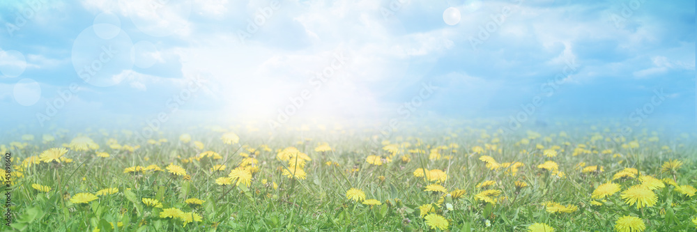 Fototapeta premium Abstract summer nature blurred background. Headline background.