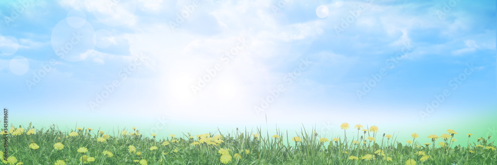 Fototapeta premium Abstract summer nature blurred background. Headline background.