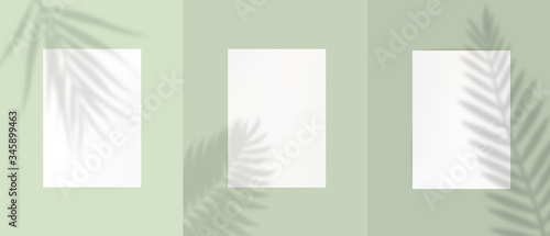 Sheets a4 paper light green background with shadows of tropical leaves. Vertical blank white sheets, natural colour vector light overlapping leaf shadows from above.