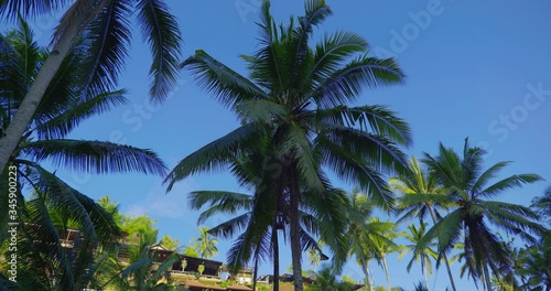 Wallpaper Mural Palm Trees Silhouettes in Bali Indonesia with Clouds in the Background 4k Torontodigital.ca